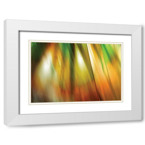 Tie Dye II White Modern Wood Framed Art Print with Double Matting by PI Studio