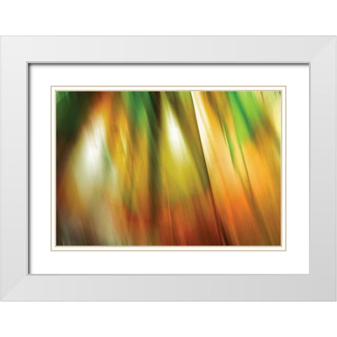 Tie Dye II White Modern Wood Framed Art Print with Double Matting by PI Studio