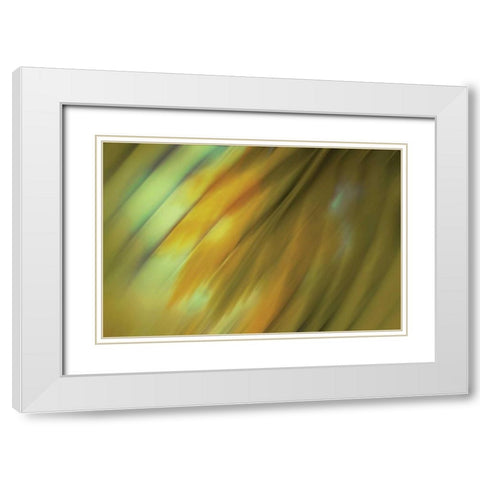 Tie Dye III White Modern Wood Framed Art Print with Double Matting by PI Studio