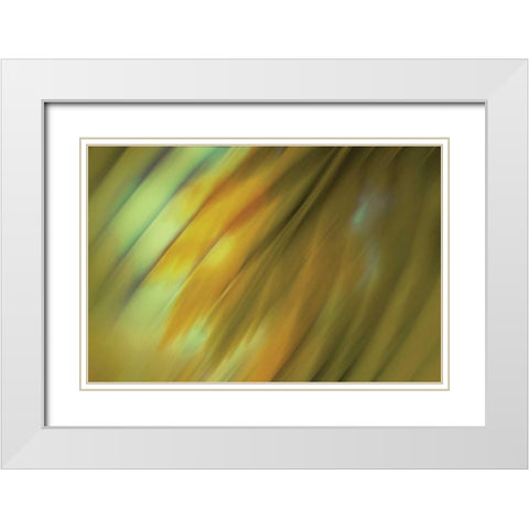 Tie Dye III White Modern Wood Framed Art Print with Double Matting by PI Studio