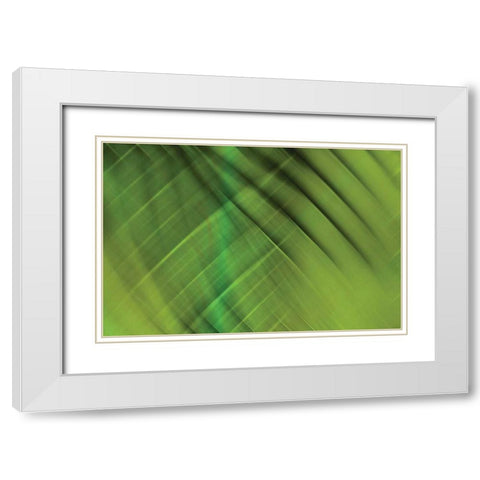 Tie Dye IV White Modern Wood Framed Art Print with Double Matting by PI Studio