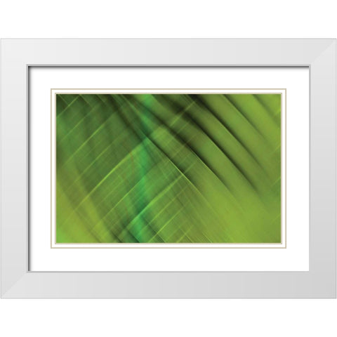 Tie Dye IV White Modern Wood Framed Art Print with Double Matting by PI Studio