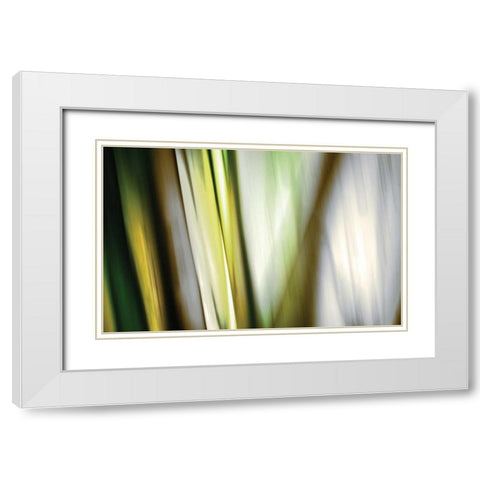 Organic II White Modern Wood Framed Art Print with Double Matting by PI Studio