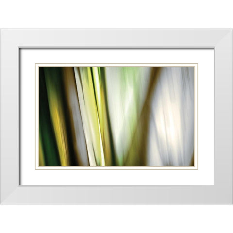 Organic II White Modern Wood Framed Art Print with Double Matting by PI Studio