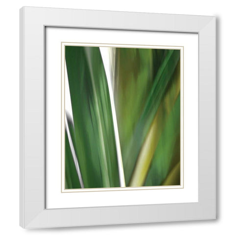 Organic IV White Modern Wood Framed Art Print with Double Matting by PI Studio