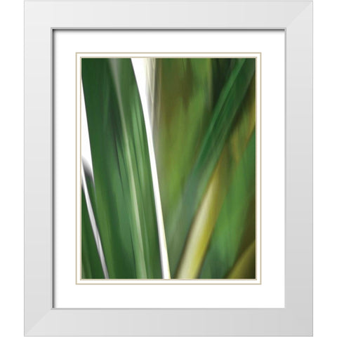 Organic IV White Modern Wood Framed Art Print with Double Matting by PI Studio