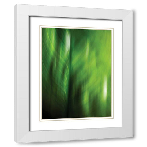 Organic V White Modern Wood Framed Art Print with Double Matting by PI Studio