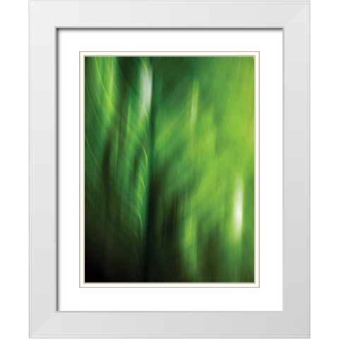 Organic V White Modern Wood Framed Art Print with Double Matting by PI Studio