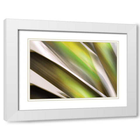 Organic VI White Modern Wood Framed Art Print with Double Matting by PI Studio