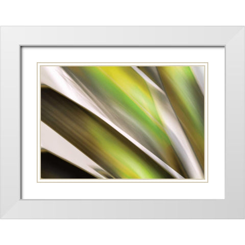 Organic VI White Modern Wood Framed Art Print with Double Matting by PI Studio