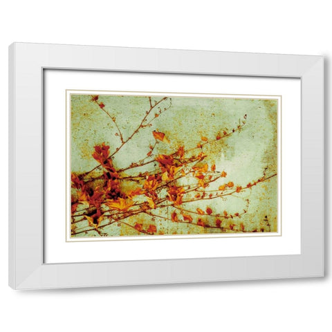 Persimmon White Modern Wood Framed Art Print with Double Matting by PI Studio