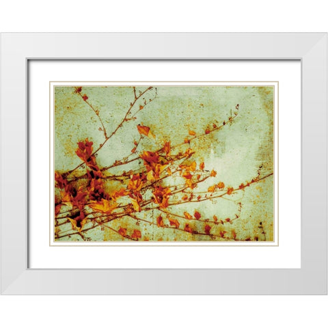 Persimmon White Modern Wood Framed Art Print with Double Matting by PI Studio