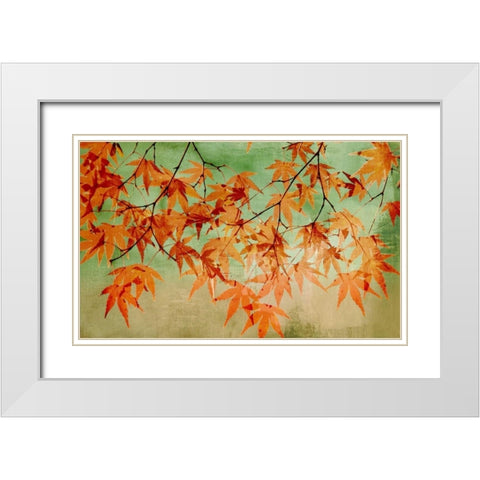 Canopy White Modern Wood Framed Art Print with Double Matting by PI Studio
