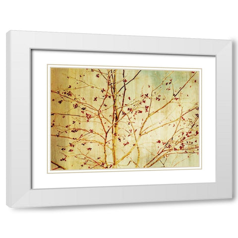 Etched White Modern Wood Framed Art Print with Double Matting by PI Studio