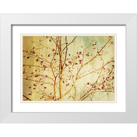Etched White Modern Wood Framed Art Print with Double Matting by PI Studio