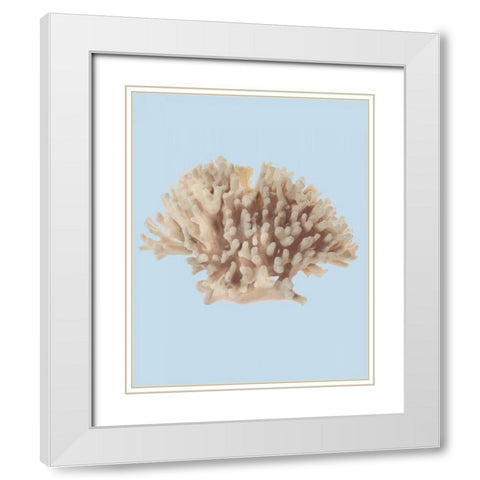 Coral I White Modern Wood Framed Art Print with Double Matting by PI Studio