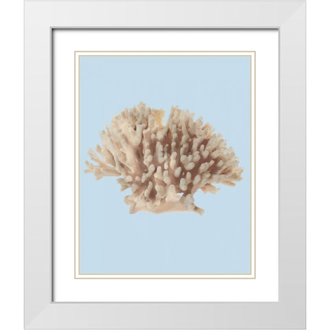 Coral I White Modern Wood Framed Art Print with Double Matting by PI Studio