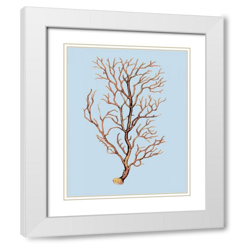 Coral IV White Modern Wood Framed Art Print with Double Matting by PI Studio