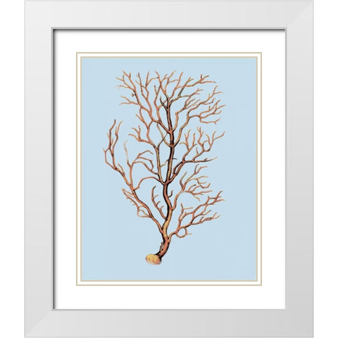 Coral IV White Modern Wood Framed Art Print with Double Matting by PI Studio