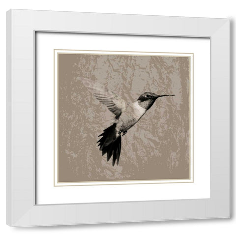 Feathered I White Modern Wood Framed Art Print with Double Matting by PI Studio