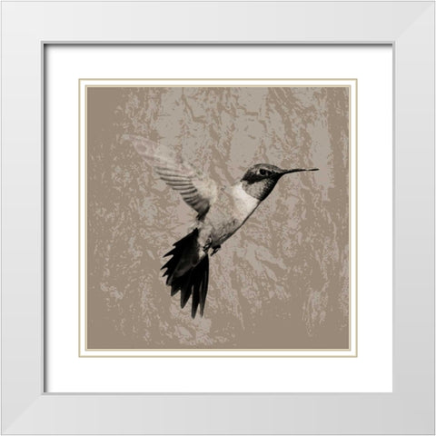 Feathered I White Modern Wood Framed Art Print with Double Matting by PI Studio