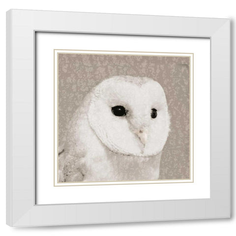 Feathered II White Modern Wood Framed Art Print with Double Matting by PI Studio