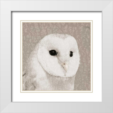 Feathered II White Modern Wood Framed Art Print with Double Matting by PI Studio