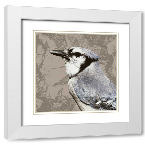 Feathered III White Modern Wood Framed Art Print with Double Matting by PI Studio