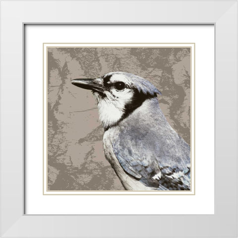 Feathered III White Modern Wood Framed Art Print with Double Matting by PI Studio