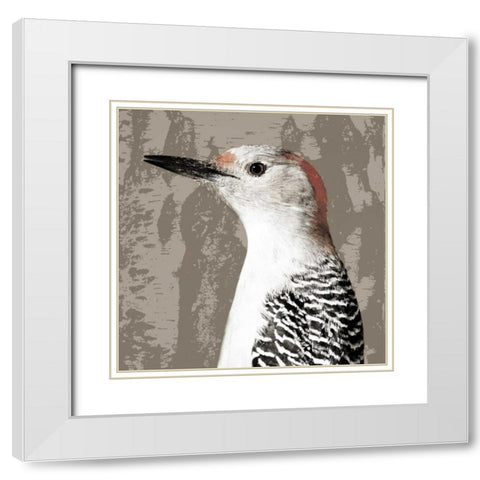 Feathered IV White Modern Wood Framed Art Print with Double Matting by PI Studio