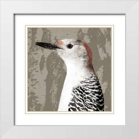 Feathered IV White Modern Wood Framed Art Print with Double Matting by PI Studio