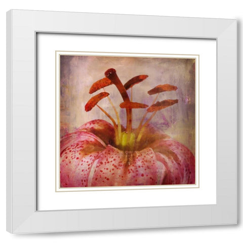 LOVELY LILY I White Modern Wood Framed Art Print with Double Matting by PI Studio