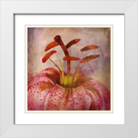 LOVELY LILY I White Modern Wood Framed Art Print with Double Matting by PI Studio