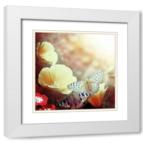 Sunbeam White Modern Wood Framed Art Print with Double Matting by PI Studio