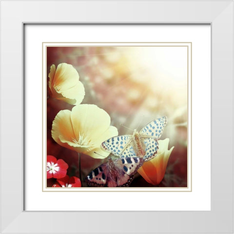 Sunbeam White Modern Wood Framed Art Print with Double Matting by PI Studio