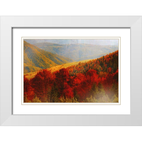 Crimson Country White Modern Wood Framed Art Print with Double Matting by PI Studio