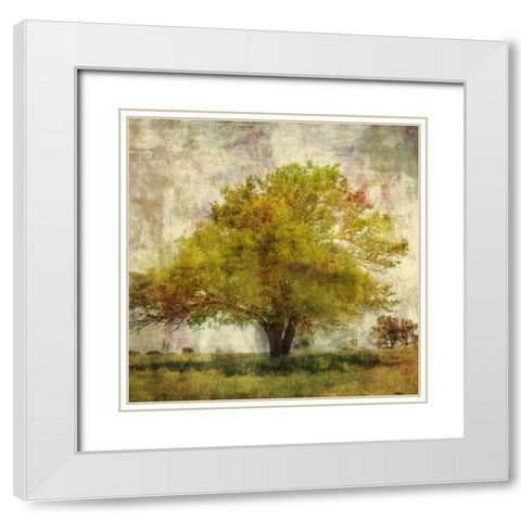 Vintage Tree White Modern Wood Framed Art Print with Double Matting by PI Studio