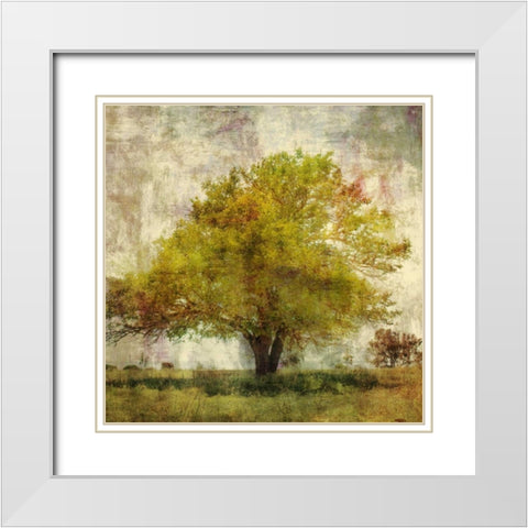 Vintage Tree White Modern Wood Framed Art Print with Double Matting by PI Studio