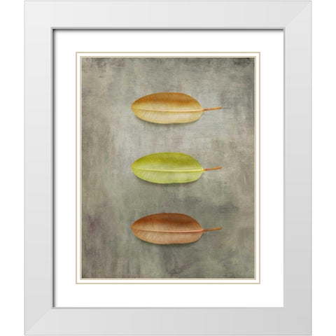 STUDY II White Modern Wood Framed Art Print with Double Matting by PI Studio