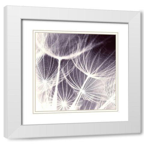 Blown Away White Modern Wood Framed Art Print with Double Matting by PI Studio