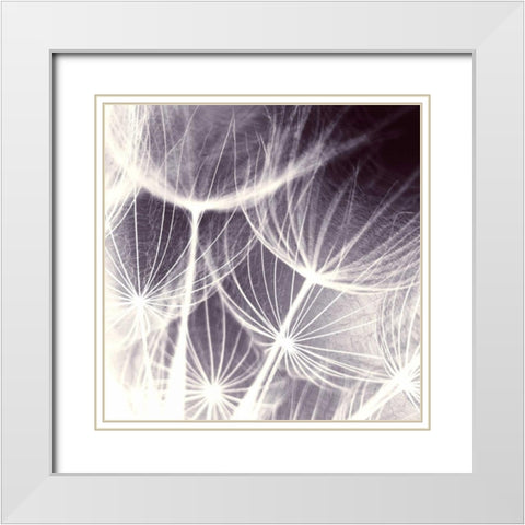 Blown Away White Modern Wood Framed Art Print with Double Matting by PI Studio
