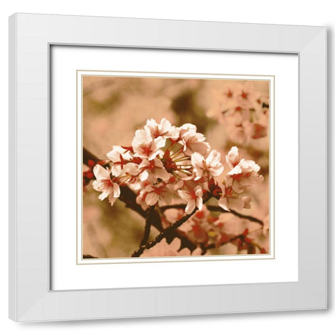 Posy White Modern Wood Framed Art Print with Double Matting by PI Studio