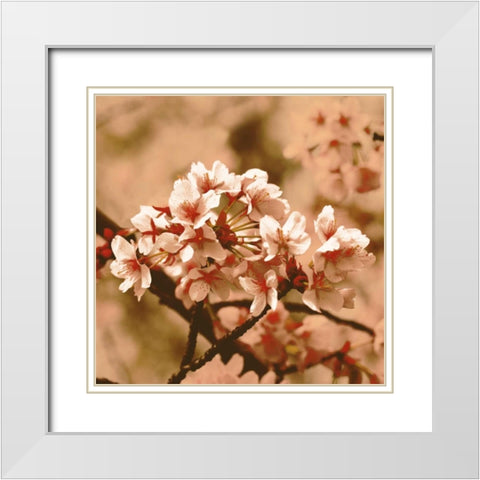 Posy White Modern Wood Framed Art Print with Double Matting by PI Studio