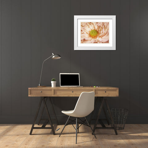 Peaches and Cream White Modern Wood Framed Art Print with Double Matting by PI Studio