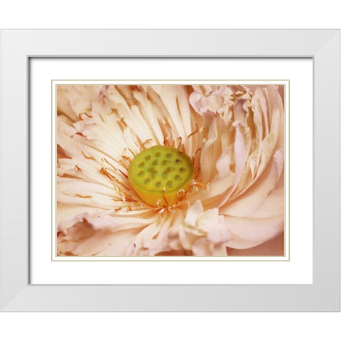 Peaches and Cream White Modern Wood Framed Art Print with Double Matting by PI Studio