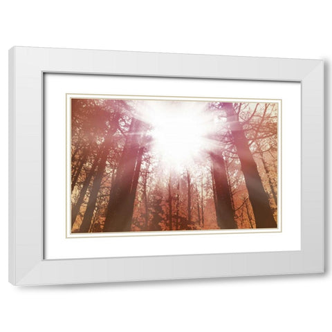 Sun Dance White Modern Wood Framed Art Print with Double Matting by PI Studio