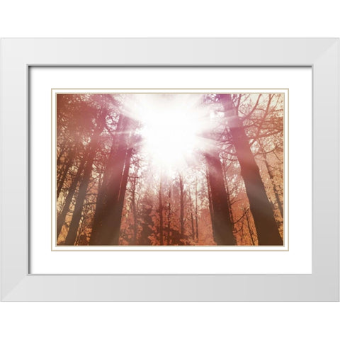 Sun Dance White Modern Wood Framed Art Print with Double Matting by PI Studio