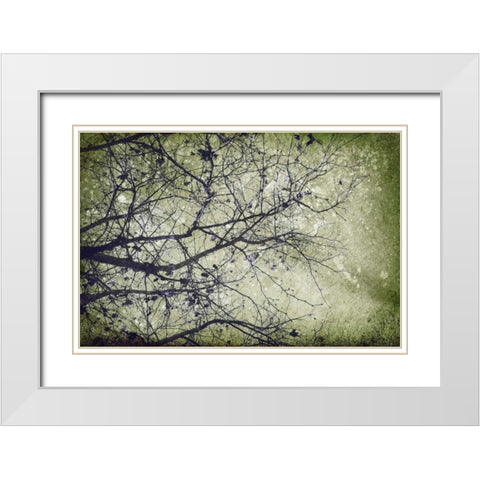 Collage E White Modern Wood Framed Art Print with Double Matting by PI Studio