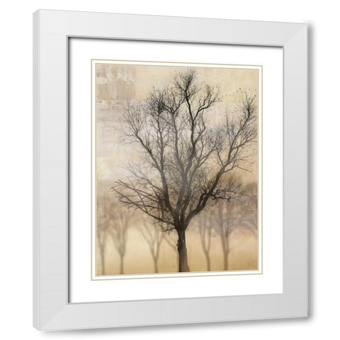 Solitaire White Modern Wood Framed Art Print with Double Matting by PI Studio