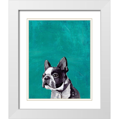 Frenchie Puppy  White Modern Wood Framed Art Print with Double Matting by PI Studio